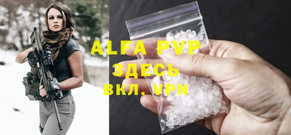 хмурый Абаза