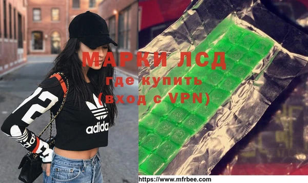 хмурый Абаза