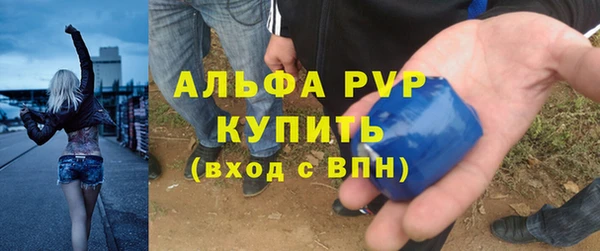 хмурый Абаза