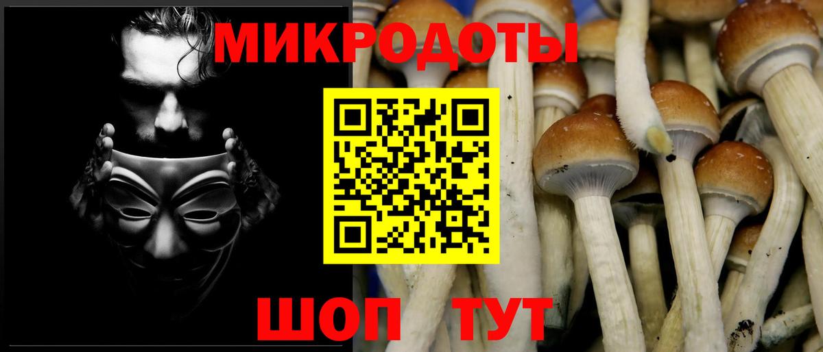 Уфа  Галлюциногенные грибы Psilocybe  Вход с VPN 