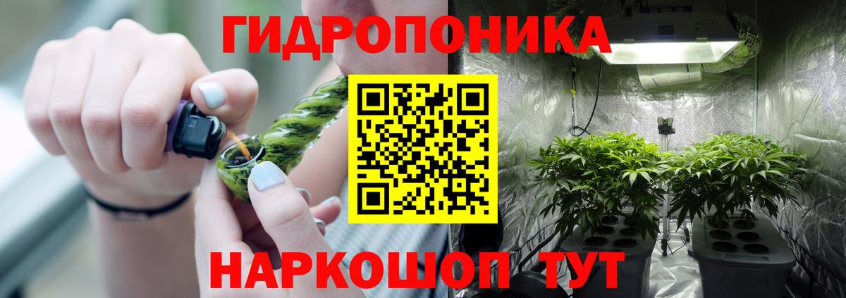Канабис сатива  Шишки марихуана OG Kush  Бошки марихуана конопля  Вход с VPN  Уфа 